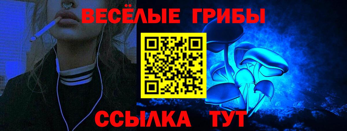 Кирово-Чепецк  Галлюциногенные грибы мицелий  Псилоцибиновые грибы MAGIC MUSHROOMS  Вход с VPN 